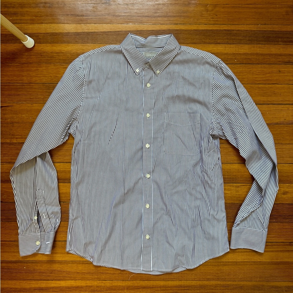 Everlane Maroon and White Striped Shirt